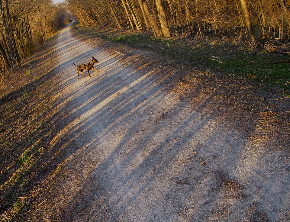 Katy Trail Katy Trail